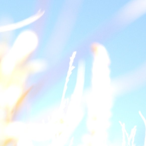 Meet your Posher - Picture 1 of 1